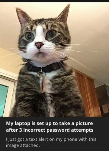 my laptap is set