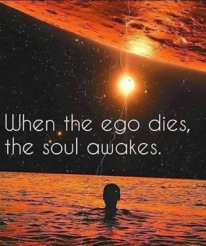 IMG_20230221_043251_467