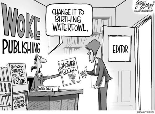 FB_IMG_1677476177468