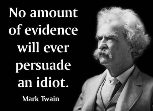 !   Twain on idiots