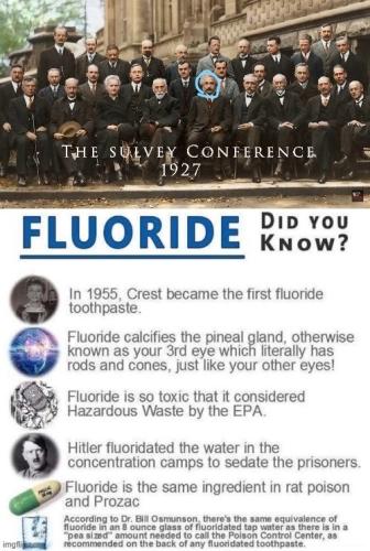 photo_2023-02-26_14-33-42