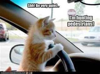 IMG_20230213_211354_706