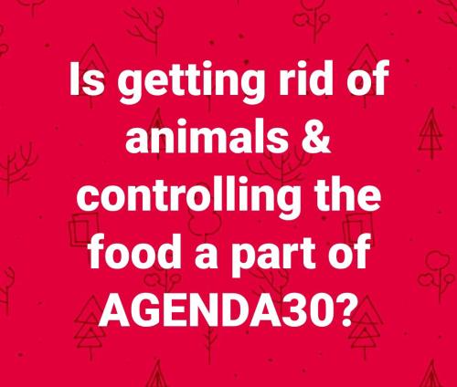 13:09:14 GMT-0500 (EST)