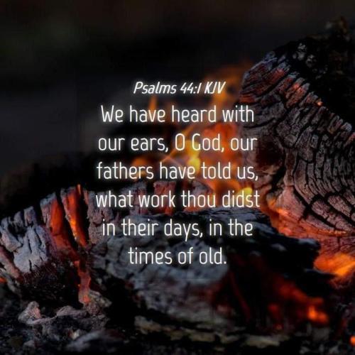 ace8efac-5ce9-4fb6-94d6-7e8bfc978199