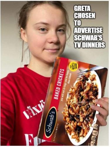 FB_IMG_1677350849464