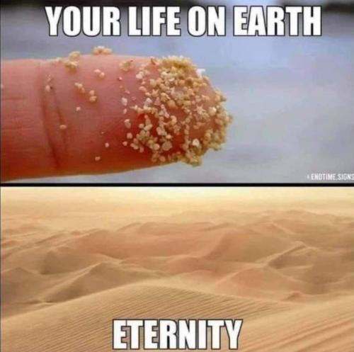 88976725-366b-455a-a147-31b40feae028