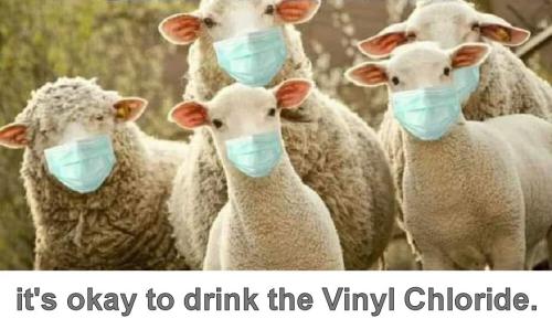 East Palestine Ohio15