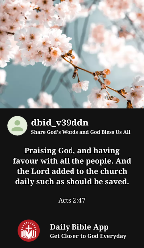 2023-02-191676836226843