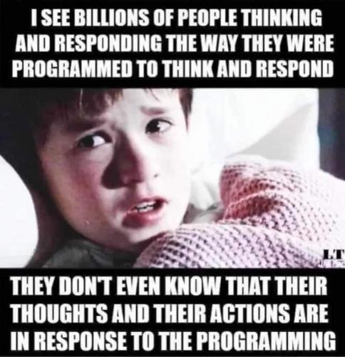 Programming 1