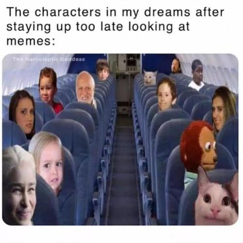 509f9996-f5e0-4e44-b92e-99428f521e84
