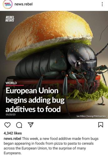 add bugs