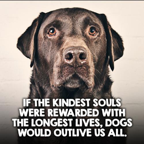 Screenshot_20230204_122850_YouTube