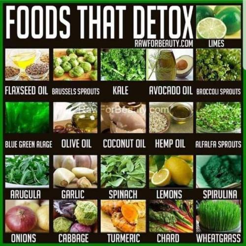 photo_2023-02-19_10-50-59