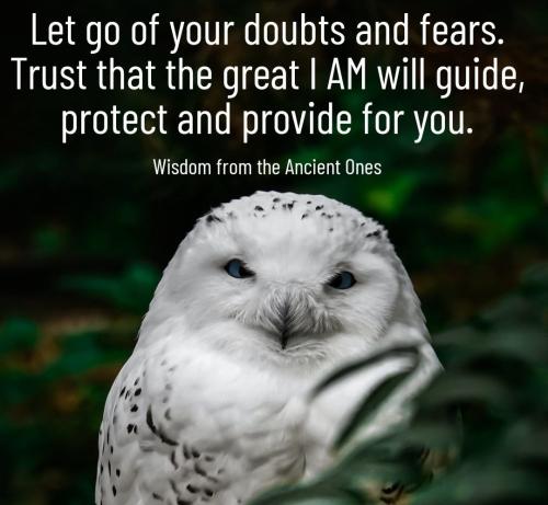 IMG_20230221_043323_903