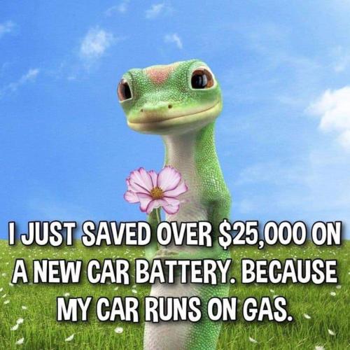 FB_IMG_1677076970599