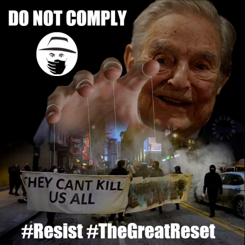 image_2023-02-02_110139813