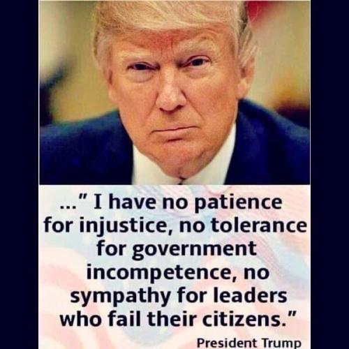 FB_IMG_1677295517586