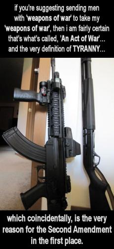 gun confiscation00