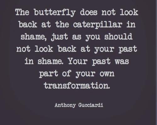 IMG_20230205_051818_322