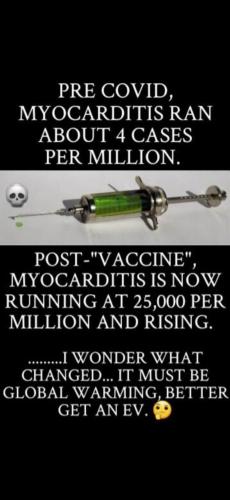 2ae675ef-7d85-4897-80c0-344a8783b864