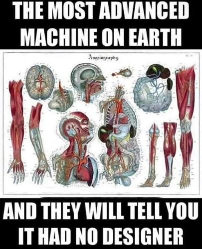 FB_IMG_1675809755711