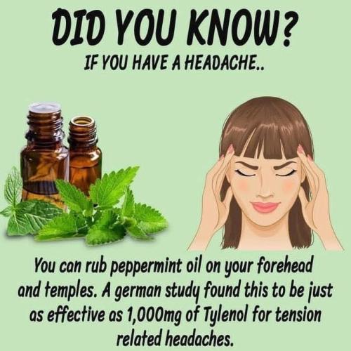Peppermint Essential Oil for headaches
