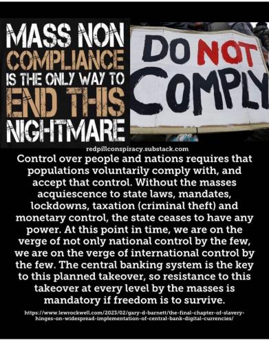 photo_2023-02-11_20-32-31