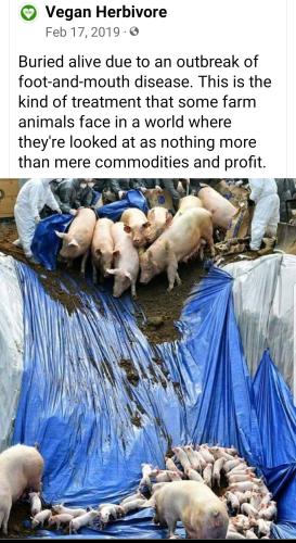 19:37:26 GMT-0500 (EST)