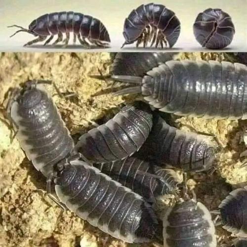 e0ec628b-9281-4686-b2f8-d684cc6ecada