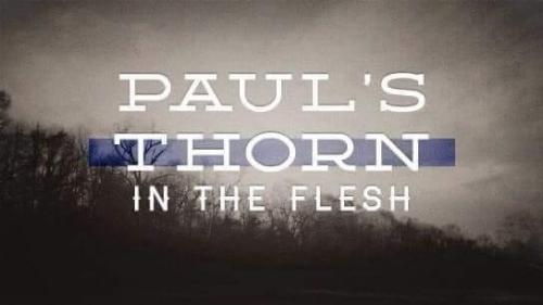 eca20a64-449b-492e-9000-731833077db3