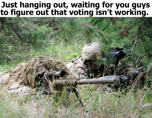 Waiting for you guys to figure out that voting isn't working.