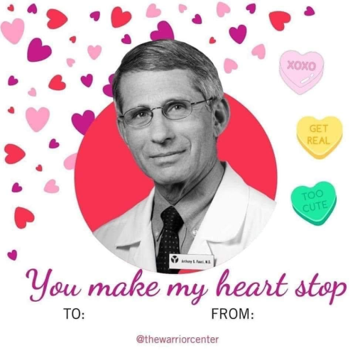 fauci valentine