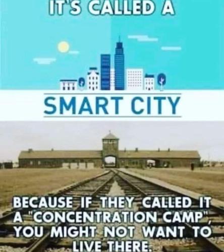 FB_IMG_1677252064406