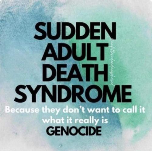 FB_IMG_1676242157011