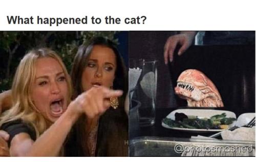 img345eerzab66 - Copy