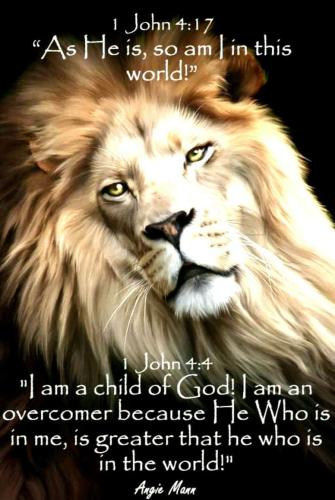 IMG_20230317_003637_100