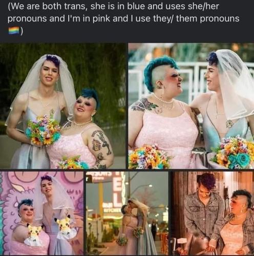 FB_IMG_1679067436214