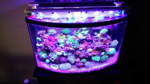 FB_IMG_1680034485423