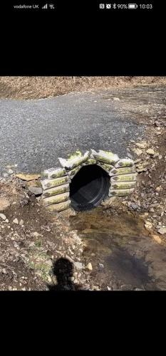 FB_IMG_1678382934473