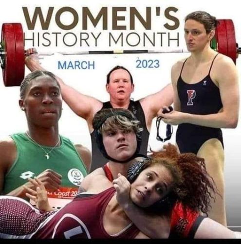 9d8e3111-933c-4de9-8a07-ba687e5e5037