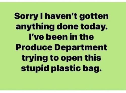 333850223_746092703542333_8241313057797188095_n