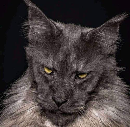 FB_IMG_1678850646203