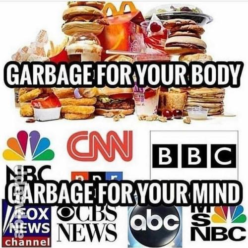MSM 1