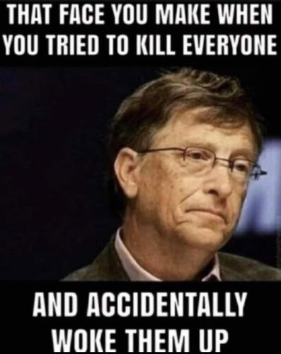 FB_IMG_1678511208247