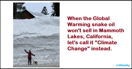 global_warming_relabeled