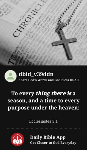 2023-03-281680062370618