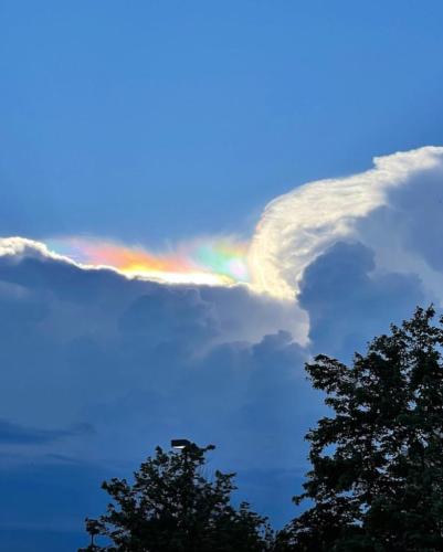 e8a431c9-a7a0-4235-b679-4f003f39b3d7