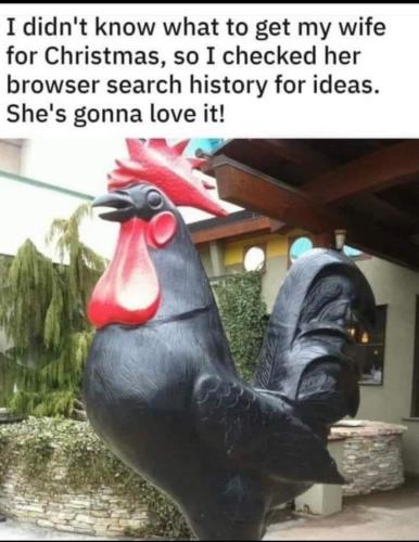 FB_IMG_1677859821710