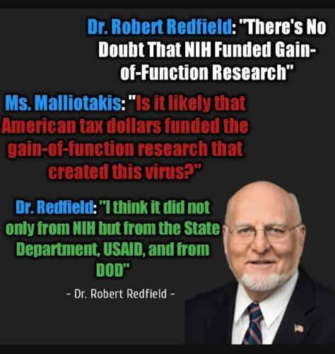 Screenshot_20230309_195231_YouTube