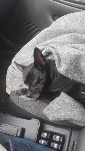 3e0afdf1-5795-4f72-ac26-e15c2f9a9355